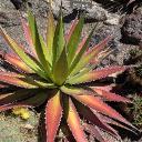 Avatar de nonosann_hiro_30753