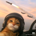 Avatar de CatFighter