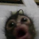 Avatar de ♞ℍeltℕa𝔸lma♧