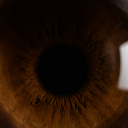 Avatar de Thibaut.mrn