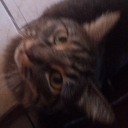 Avatar de Louis913