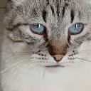 Avatar de pablofocus.2.