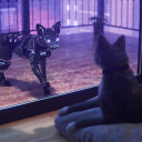 Avatar de BaronneVonSalem