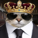 Avatar de Miitsuya....🐈