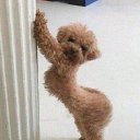 Avatar de ! célia♥