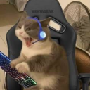 Avatar de ̶S̶h̶r̶e̶k̶.̶e̶x̶e̶