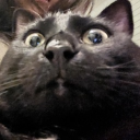 Avatar de angie_cookie0