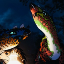 Avatar de plutoxd7xd