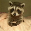 Avatar de 💫𝒜𝓃𝒹𝓇𝒾𝓎💫