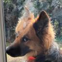 Avatar de PixelRunner