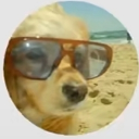 Avatar de Snip1exper