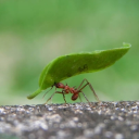 Avatar de EL TORDO YTB