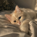 Avatar de sun_03935