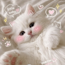 Avatar de sun_03935