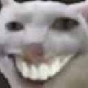 Avatar de 4 Every