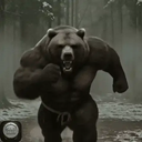 Avatar de ours_du_fracas