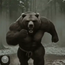 Avatar de ours_du_fracas