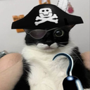 Avatar de TheFlop78