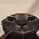 Avatar de giga