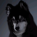 Avatar de 𝕷𝖚𝖕𝖆𝖓𝖔𝖚𝖎𝖑𝖑𝖊