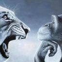 Avatar de mangeur2pates0772