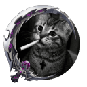 Avatar de Nixus_DMS
