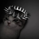 Avatar de 𝕯𝖆𝖗𝖐 𝕬𝖓𝖌𝖊𝖑