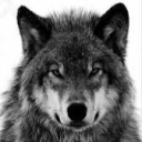 Avatar de redbreaking