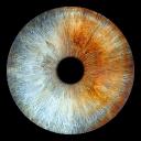 Avatar de ebrithillotha