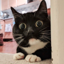 Avatar de [EU/PC]maxerbox