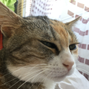 Avatar de ModitetBoss