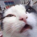 Avatar de bebouille91