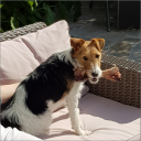 Avatar de BlueEmperor