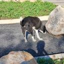 Avatar de thresharmant