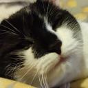 Avatar de mathysgeek