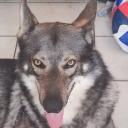 Avatar de dressworld