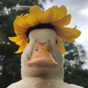 Avatar de Tabouret Cosmique