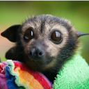 Avatar de റരಲ൭൰ഴଧ