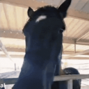 Avatar de MathieuMk159