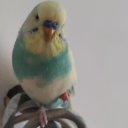 Avatar de nanami9703