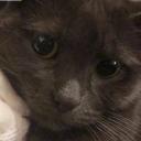 Avatar de jhintleman