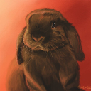 Avatar de admiralnavy