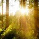 Avatar de L'étincelle