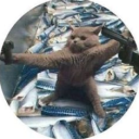 Avatar de Théo11FRxx