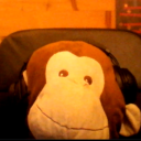 Avatar de ᲼᲼᲼᲼᲼Bobby᲼᲼᲼᲼᲼