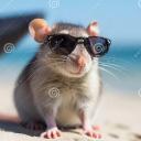 Avatar de .leratultime