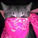 Avatar de ForeignCul