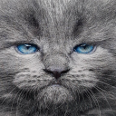 Avatar de .piloupilou