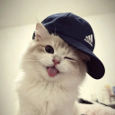 Avatar de 7Ќ4