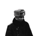 Avatar de ethernet.off